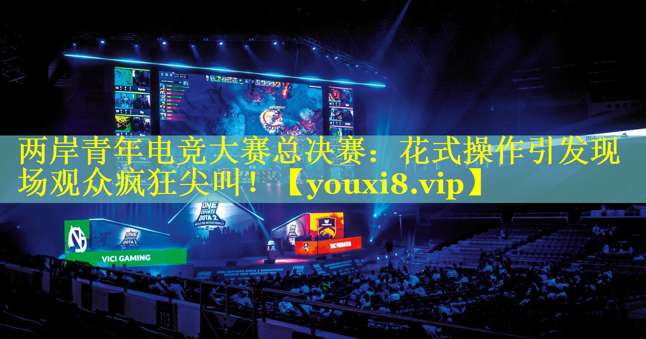 两岸青年电竞大赛总决赛：花式操作引发现场观众疯狂尖叫！