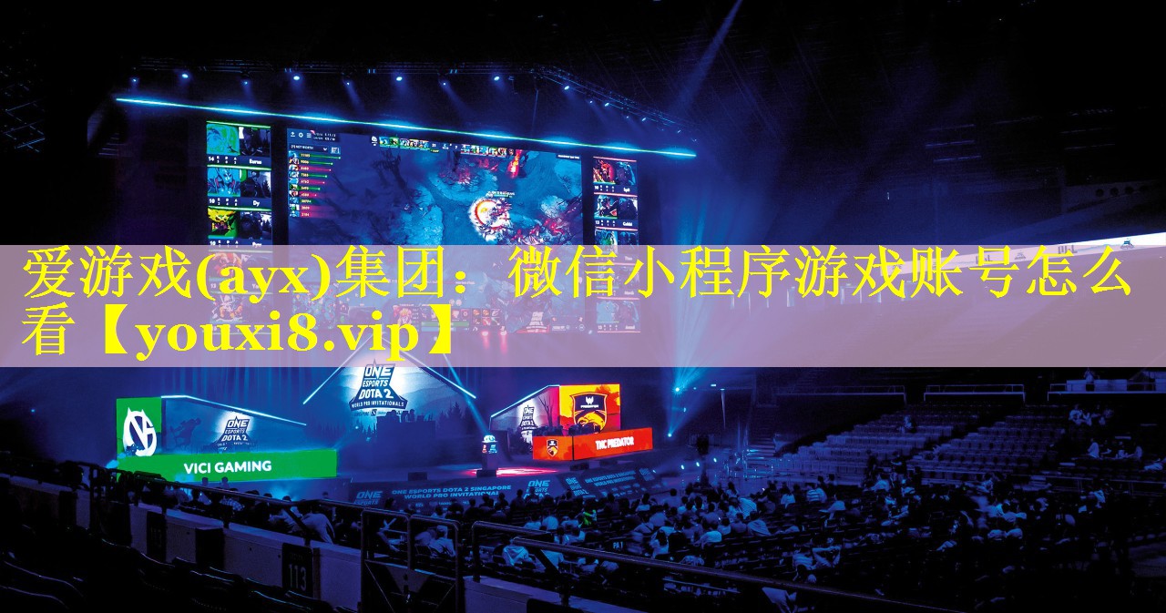 爱游戏(ayx)集团：微信小程序游戏账号怎么看
