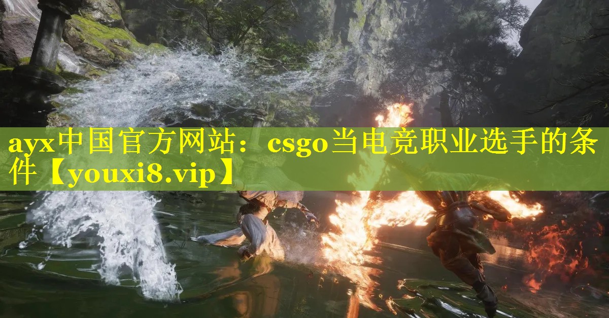 ayx中国官方网站：csgo当电竞职业选手的条件