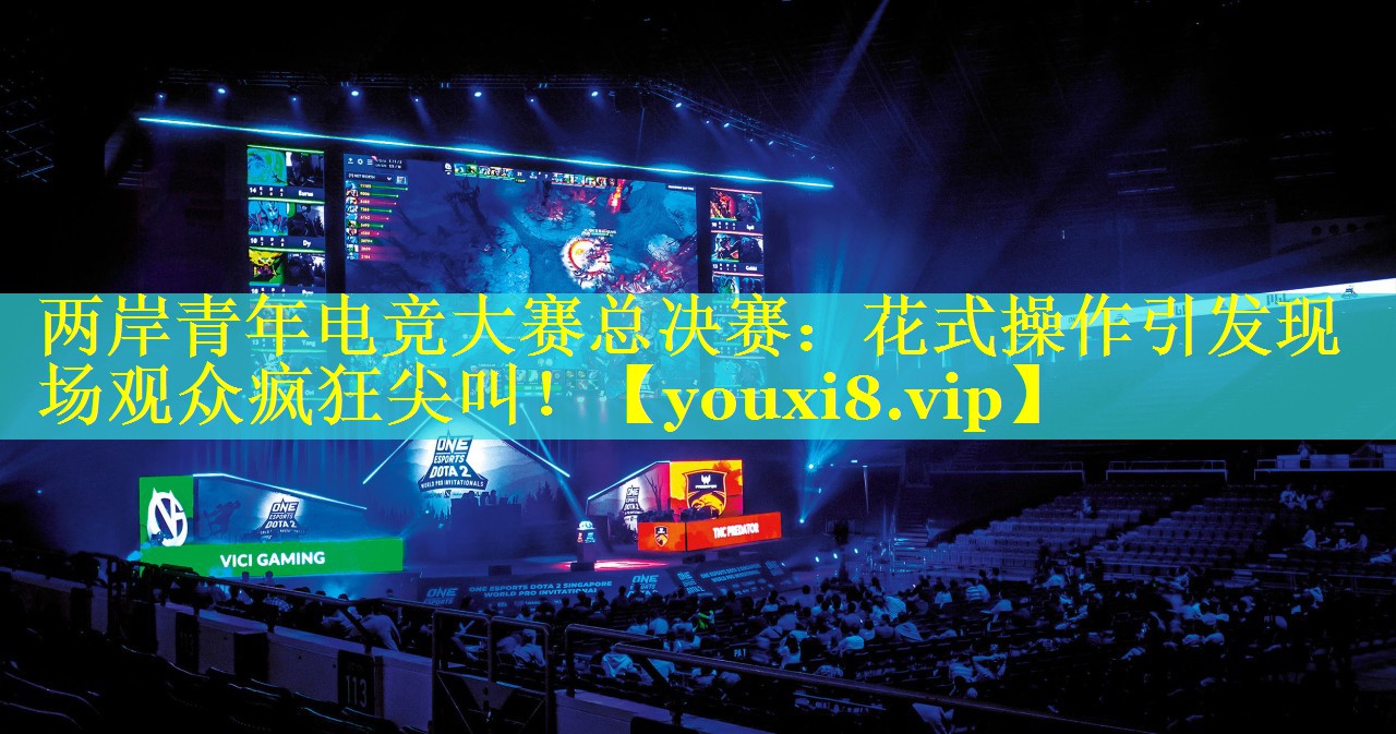 两岸青年电竞大赛总决赛:花式操作引发现场观众疯狂尖叫! 两岸青年电竞大赛总决赛:花式操作引发现场观众疯狂尖叫!
