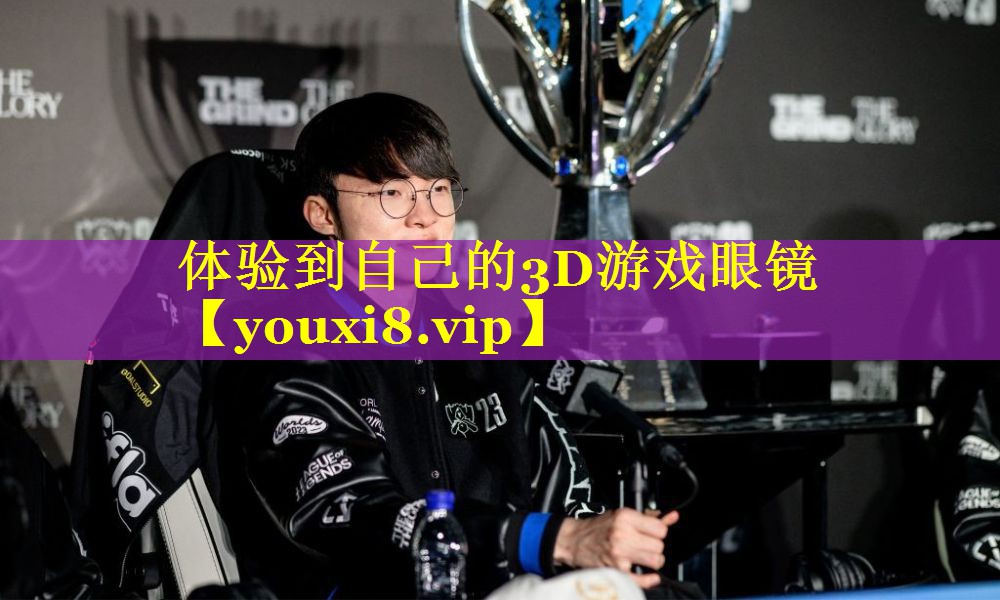 体验到自己的3D游戏眼镜 体验到自己的3D游戏眼镜
