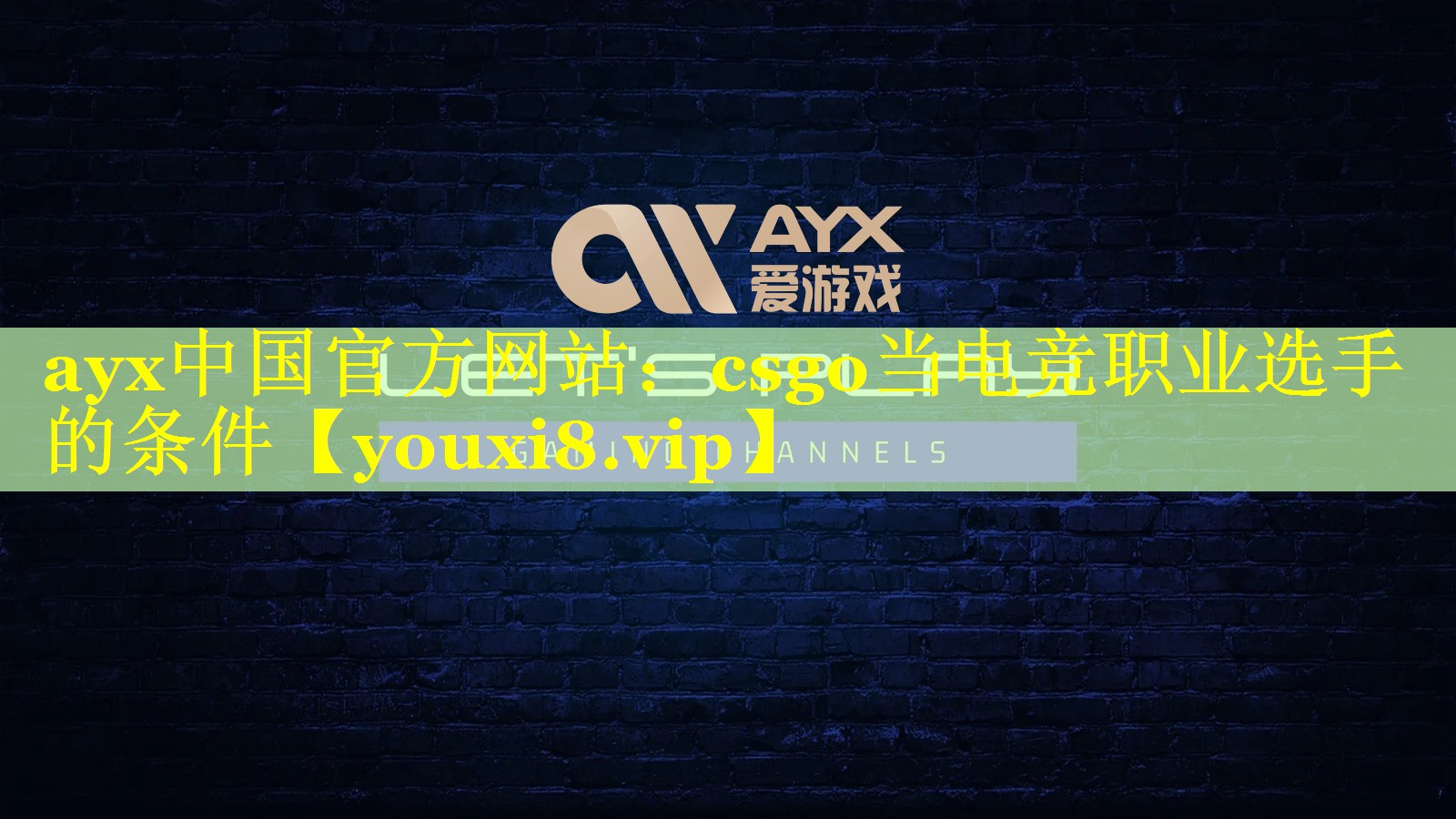 csgo当电竞职业选手的条件 csgo当电竞职业选手的条件